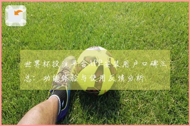 世界杯投注平台APP安装用户口碑汇总：功能体验与使用反馈分析