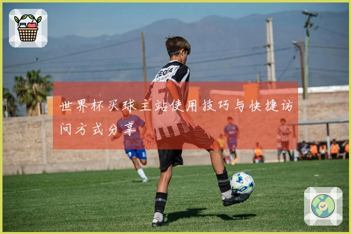 世界杯买球主站使用技巧与快捷访问方式分享