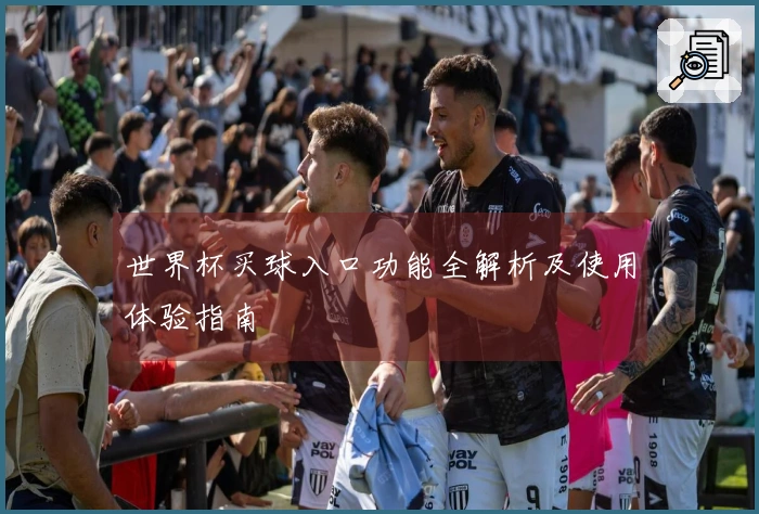 世界杯买球入口功能全解析及使用体验指南