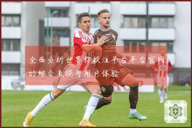全面分析世界杯投注平台平台官网的综合表现与用户体验