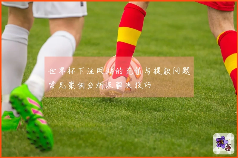 世界杯下注网站的充值与提款问题常见案例分析及解决技巧