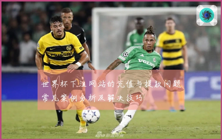 世界杯下注网站的充值与提款问题常见案例分析及解决技巧