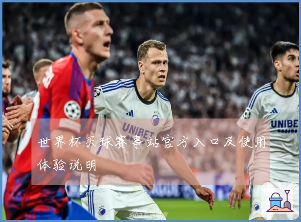 世界杯买球赛事站官方入口及使用体验说明