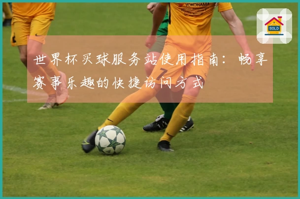 世界杯买球服务站使用指南：畅享赛事乐趣的快捷访问方式