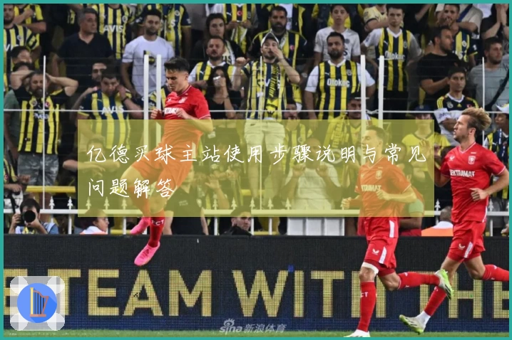 亿德买球主站使用步骤说明与常见问题解答