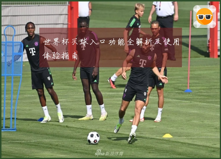 世界杯买球入口功能全解析及使用体验指南