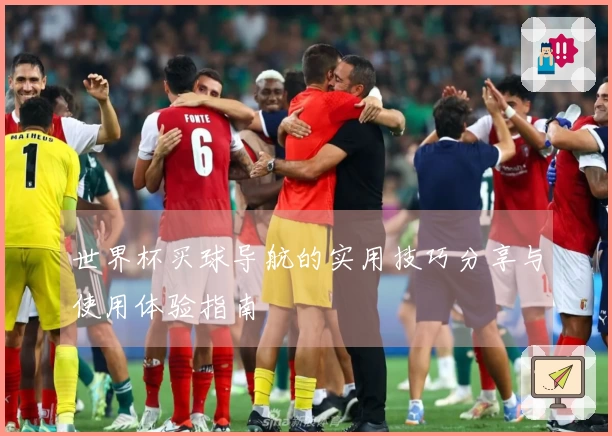世界杯买球导航的实用技巧分享与使用体验指南