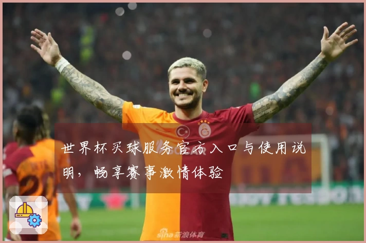 世界杯买球服务官方入口与使用说明，畅享赛事激情体验