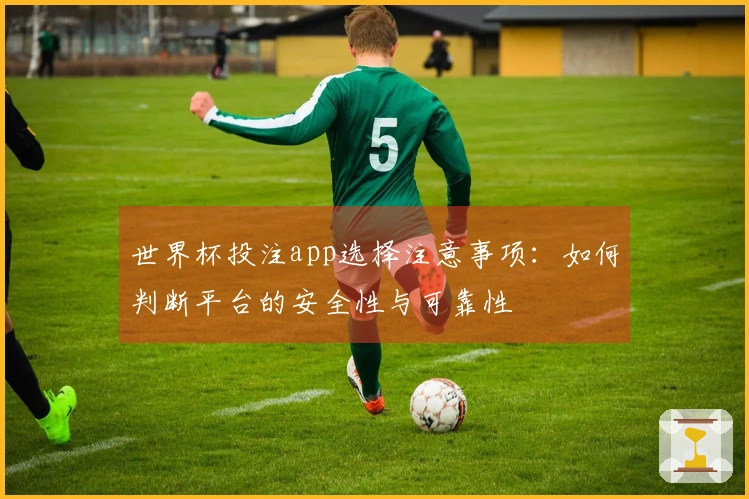 世界杯投注app选择注意事项:如何判断平台的安全性与可靠性
